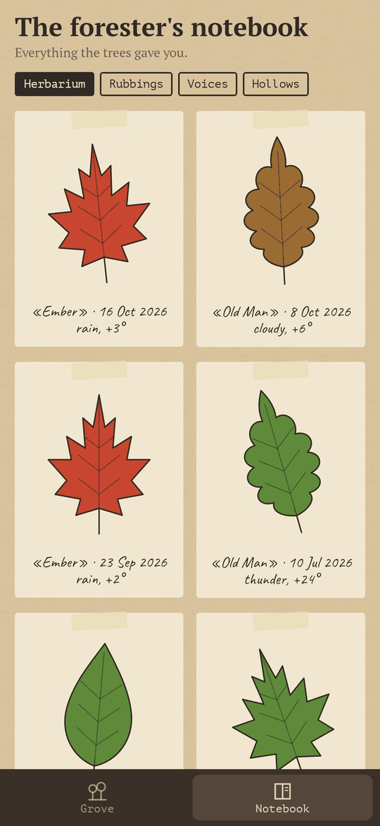 Heartwood: The notebook