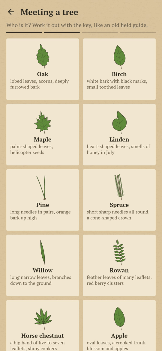 Heartwood: The species key