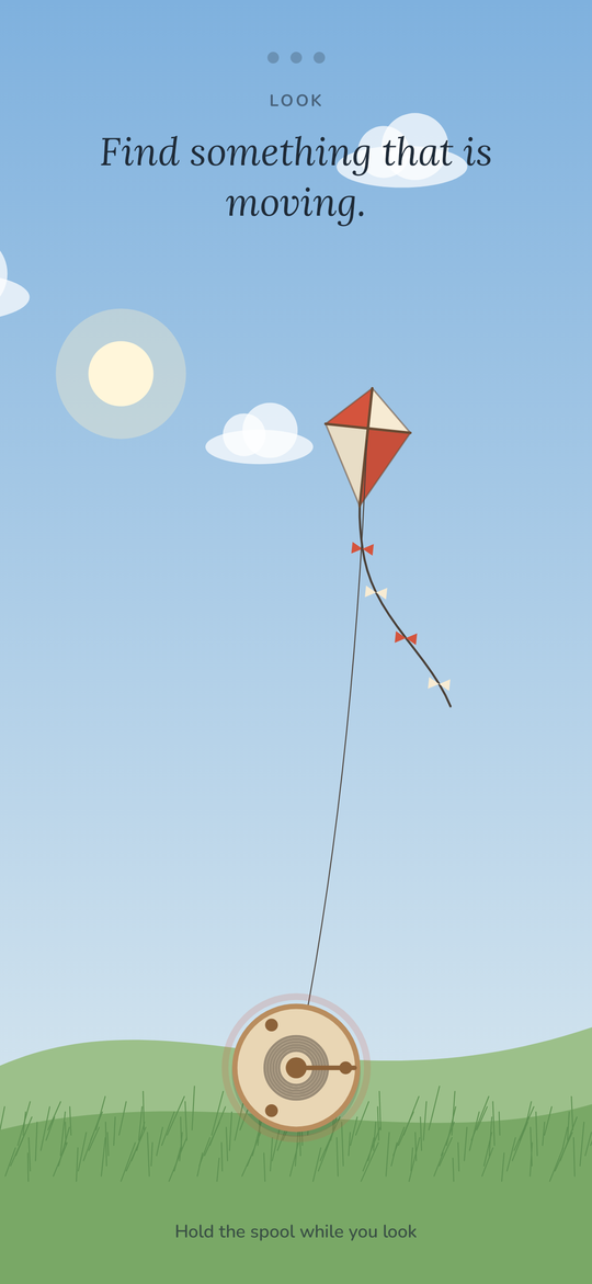 Kite