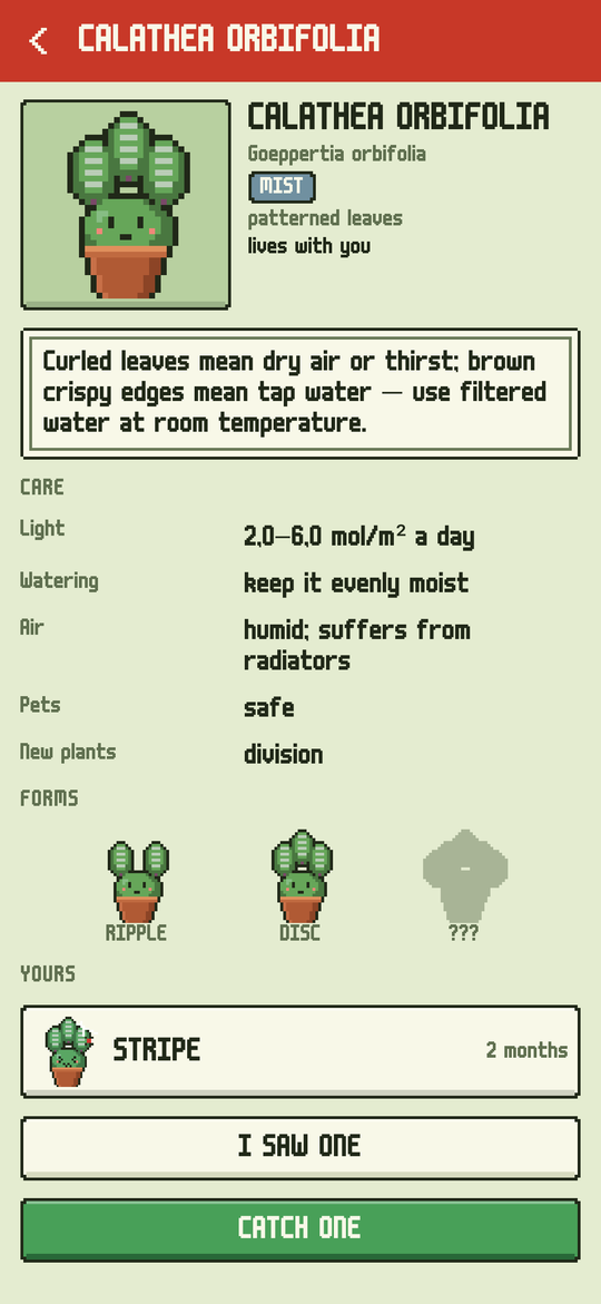 Rootlings: A species
